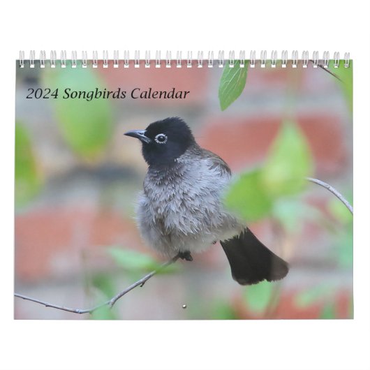 2024 Zangvogels Kalender (Hoes)
