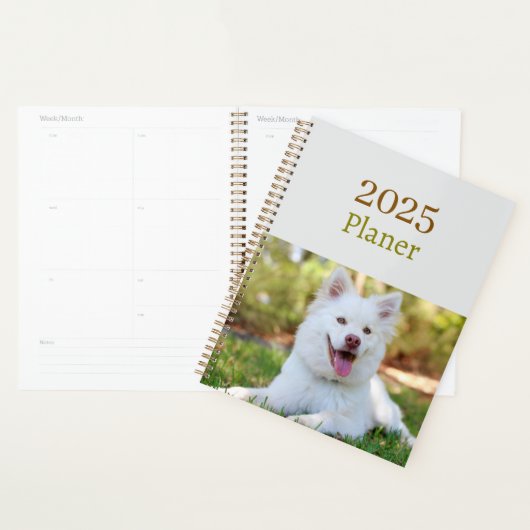 2025 (Devant avec enveloppe)