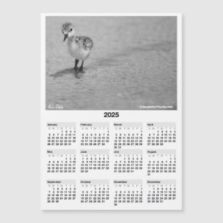 2025 5x7" Calendrier Magnet Hawaiian Stilt Aeo Chi