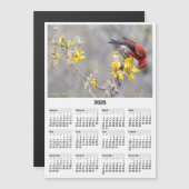2025 5x7 Magnet Calendar Apapane Hawaiian Bird (Devant / Derrière)