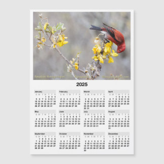 2025 5x7 Magnet Calendar Apapane Hawaiian Bird