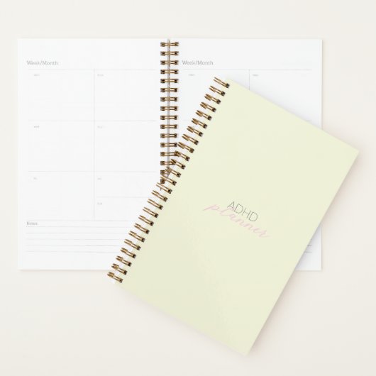 2025 ADHD Planner (Display)