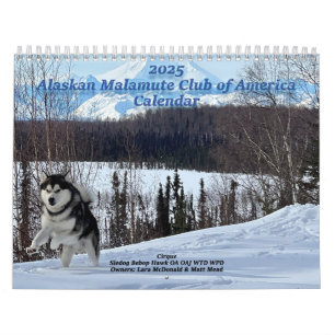 2025 Alaskan Malamute Club of America Kalender