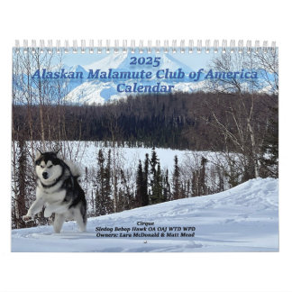 2025 Alaskan Malamute Club of America Kalender