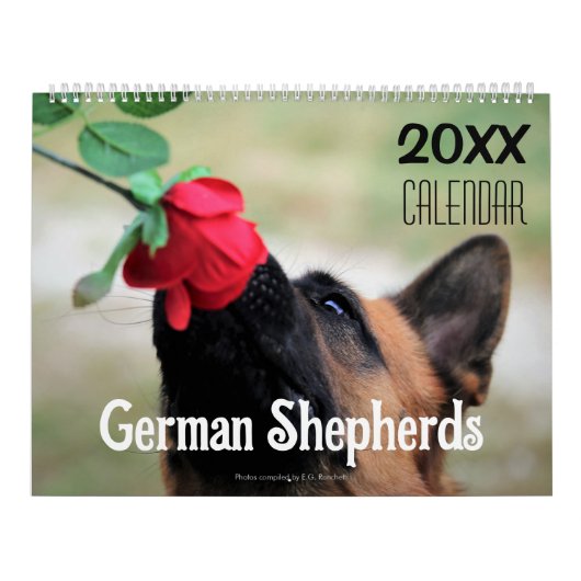 2025 Allemand Berger calendrier mural chien animal (Protection)