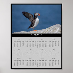 2025 Atlantische papegaaiduiker in Maine Wall Cale Poster