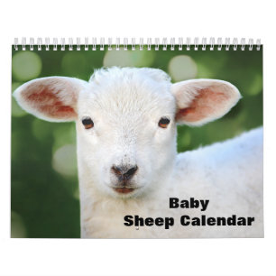 2025 Baby Schapenlam Kalender