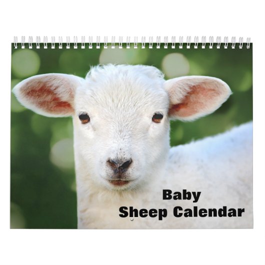 2025 Baby Schapenlam Kalender (Hoes)