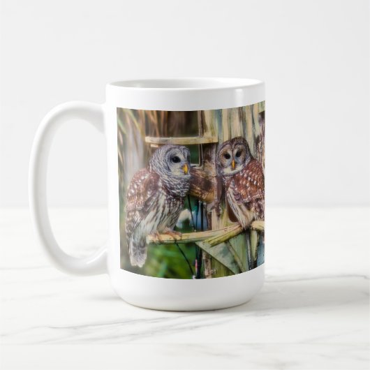 2025_Barred Owl Mug (Gauche)