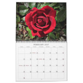 2025 Belles fleurs Calendrier mural Taille moyenne (Feb 2027)
