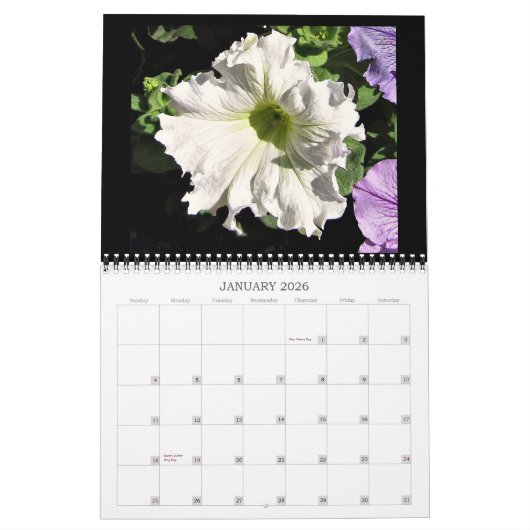 2025 Belles fleurs Calendrier mural Taille moyenne (Jan 2026)