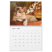 2025 Bengaalse kat Kalender (Mar 2026)