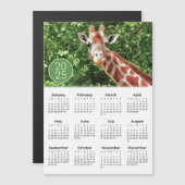 2025 Calendrier Giraffe Photo Magnet (Devant / Derrière)