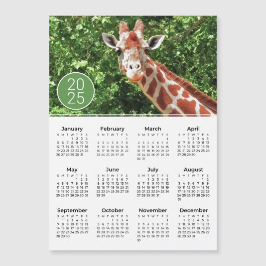 2025 Calendrier Giraffe Photo Magnet (Devant)