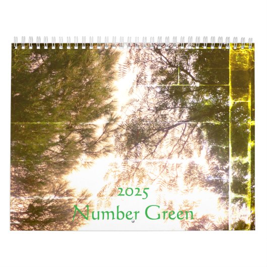 2025 Calendrier Planificateur art et design (Protection)