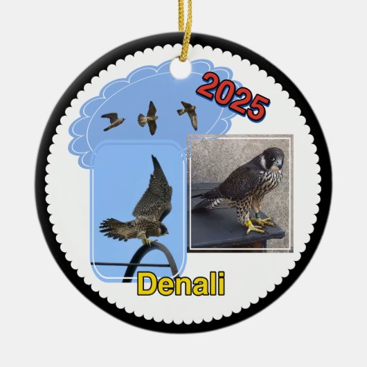 2025 Ceramic Circle Ornament Denali (Voorkant)