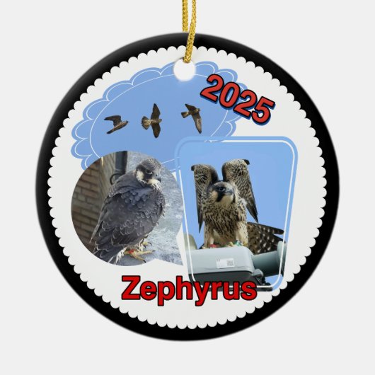 2025 Ceramic Circle Ornament Zephyrus (Voorkant)