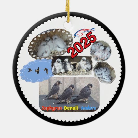 2025 Ceramic Circle Ornament Zephyrus (Achterkant)