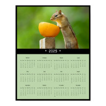 2025 Chipmunk Wandkalender Poster