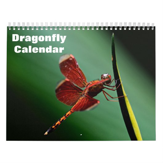 2025 Dragonfly Kalender (Hoes)