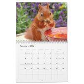 2025 Eekhoorn Kalender (Feb 2026)