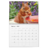 2025 Eekhoorn Kalender (Feb 2027)