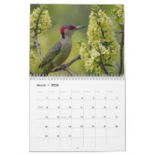 2025 Een jaar met Vogels Moderne Aangepaste Foto Kalender (Mar 2026)