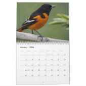 2025 Een jaar met Vogels Moderne Aangepaste Foto Kalender (Jan 2026)