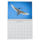 2025 Fondsenwerving Australische wildlife kalender (Jan 2026)