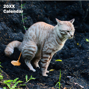 2025 Funny Cats Pooping Calendrier Personnalisé