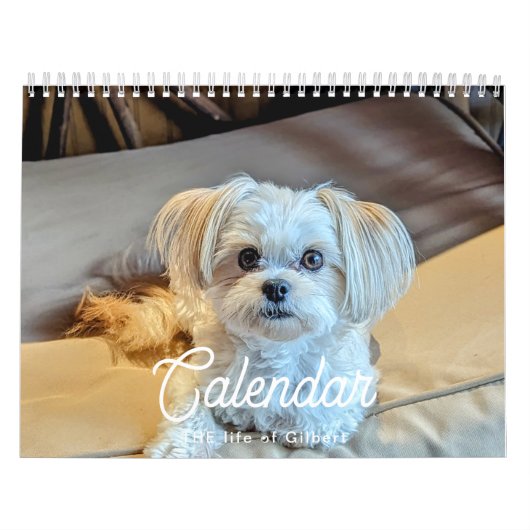 2025 Gilbert Kalender (Hoes)
