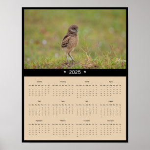 2025 Gravende Uil Wandkalender Poster
