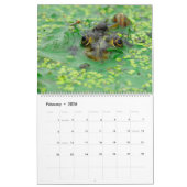 2025 Grenouilles dans le calendrier des murailles (Feb 2026)