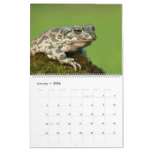 2025 Grenouilles dans le calendrier des murailles (Jan 2026)