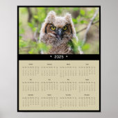 2025 Grote Gehoornde Uilenmuurkalender Poster (Voorkant)