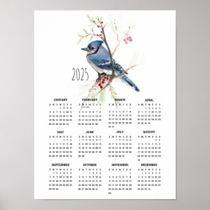 2025 Handsome Blue Jay Poster Kalender