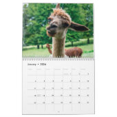 2025 Hilarische dieren gepersonaliseerd Kalender (Jan 2026)
