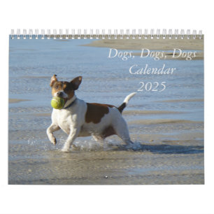 2025 Honden, Honden kalender