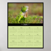 2025 Iguana Muurkalender Poster (Voorkant)