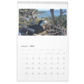 2025 Jackie & Shadow - Big Bear Eagles Calendrier  (Jan 2026)