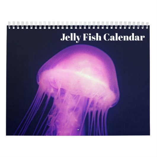 2025 Jellyfish Kalender (Hoes)