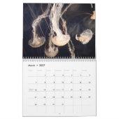 2025 Jellyfish Kalender (Mar 2027)