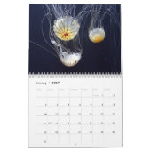 2025 Jellyfish Kalender (Jan 2027)