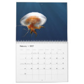 2025 Jellyfish Kalender (Feb 2027)