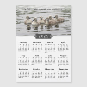 2025 Kalender Baby Zwanen Fotomagneet