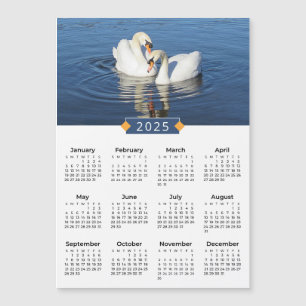 2025 Kalender Liefde Zwanen Fotomagneet
