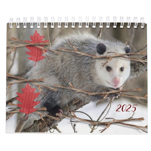 2025 Kalender Opossum Natuur Wildlife (Achterkant)