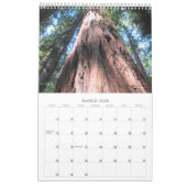 2025 Kalender Richardson Grove Single Sheet (Mar 2026)