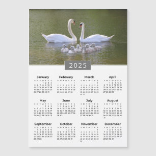 2025 Kalender Zwaan & Cygnets Magneet