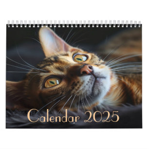 2025  kattenkalender met notities kalender